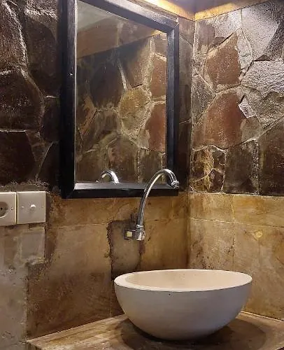 インダ サヌール