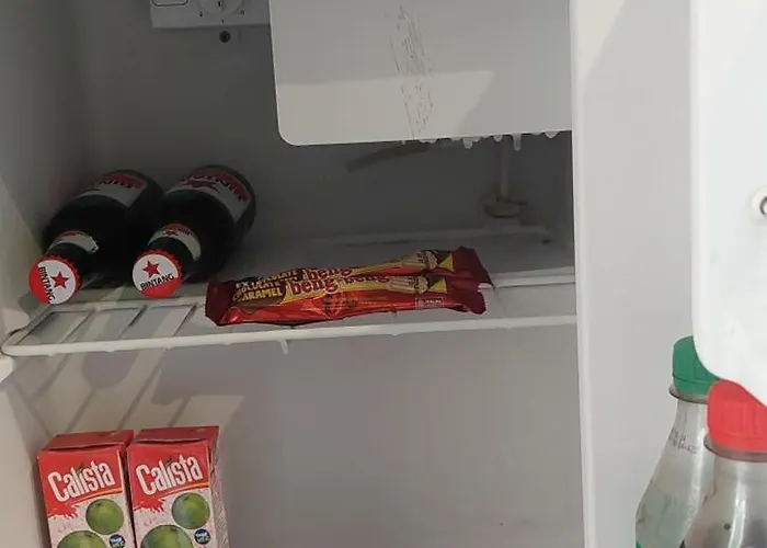 インダ サヌール